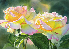  Title Two Peace Rose Blossoms Artist Sharon Freeman Medium Painting - Watercolor On Paper 